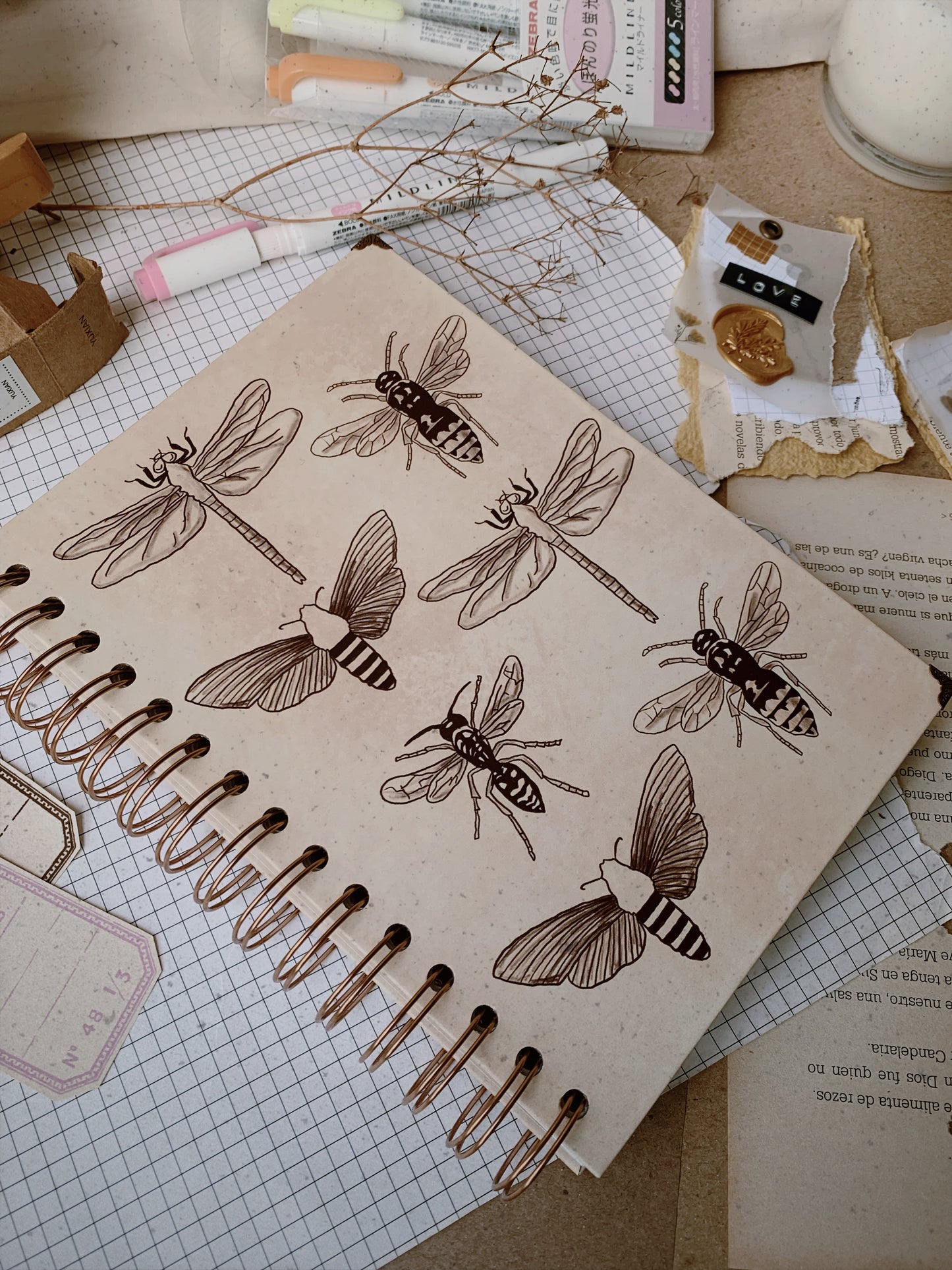 Cuaderno Insectos Vintage