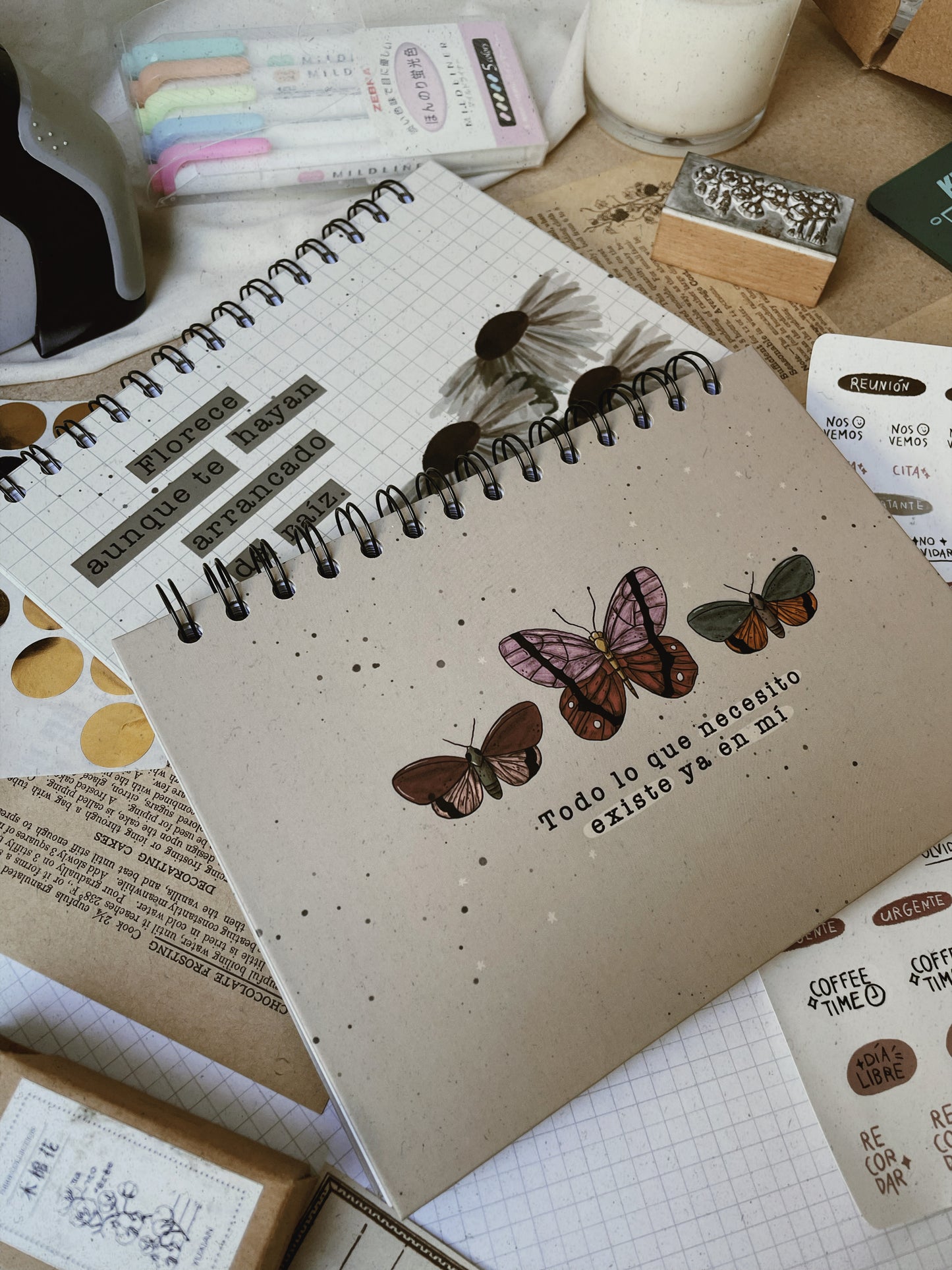 Planeador Mariposa + (Sticker Sheet)