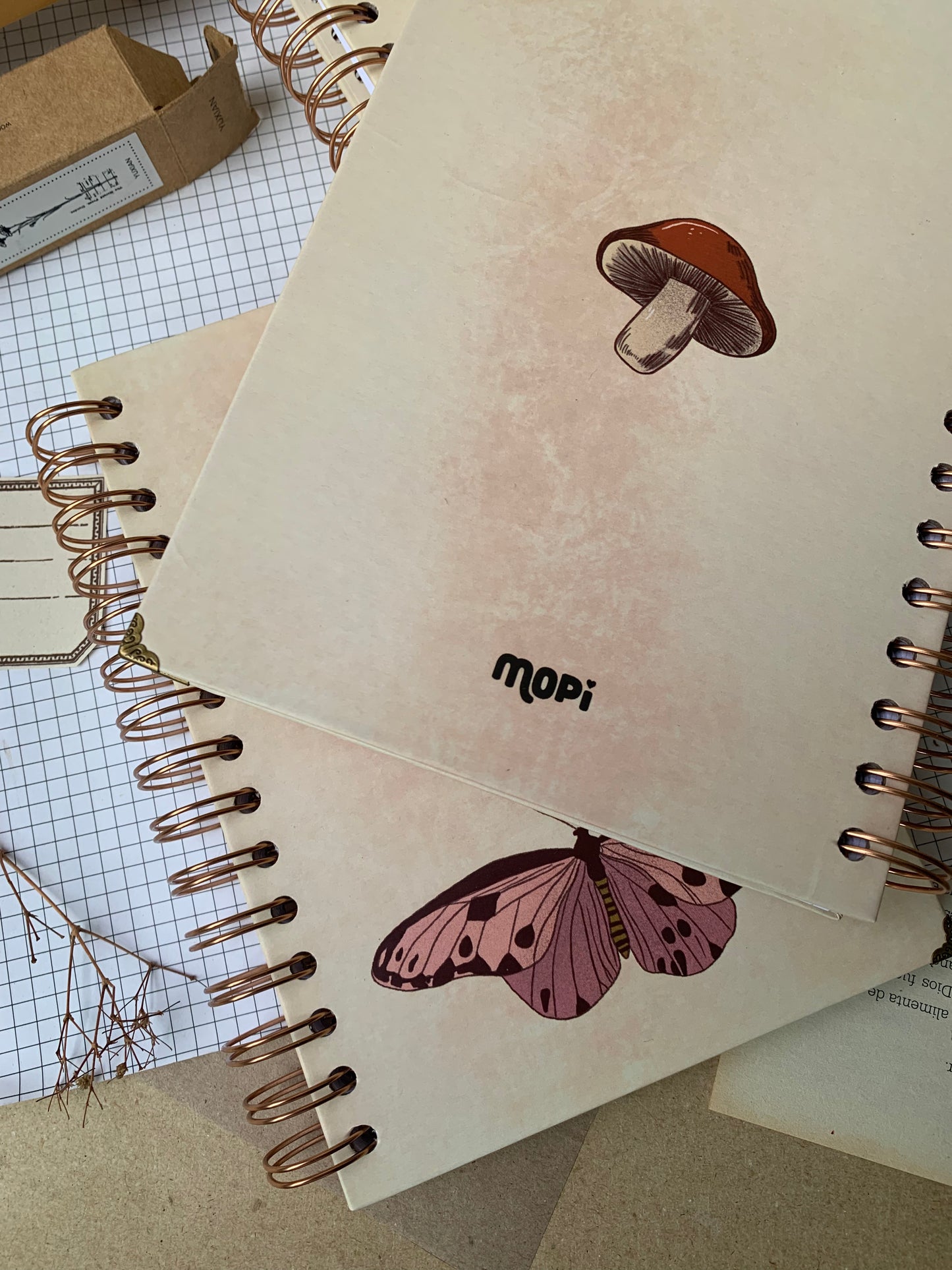 CUADERNO REINO FUNGI VINTAGE